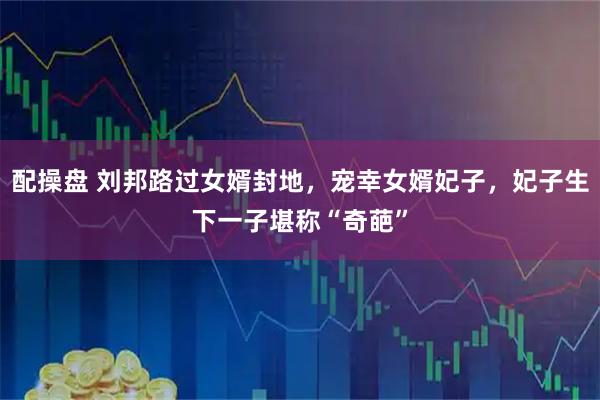 配操盘 刘邦路过女婿封地，宠幸女婿妃子，妃子生下一子堪称“奇葩”